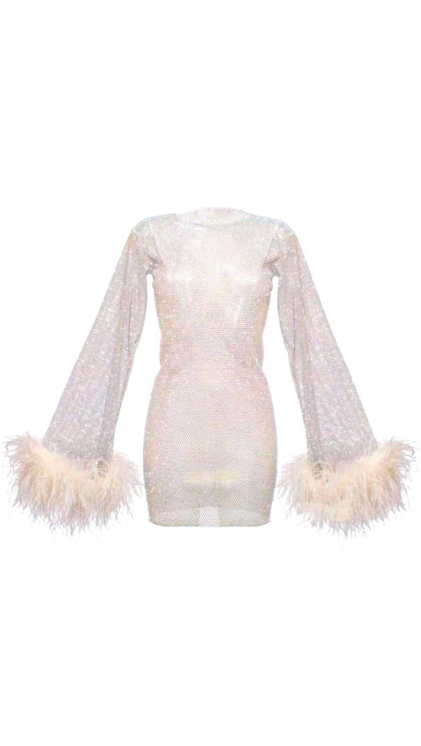 AIIZIE FEATHER EMBELLISHED MESH MINI DRESS - product image