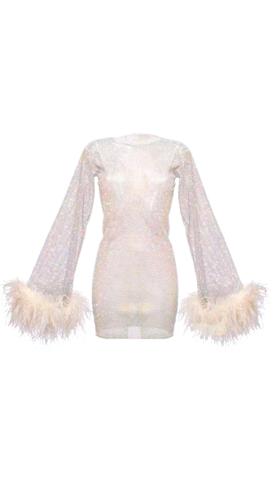FEATHER EMBELLISHED MESH MINI DRESS