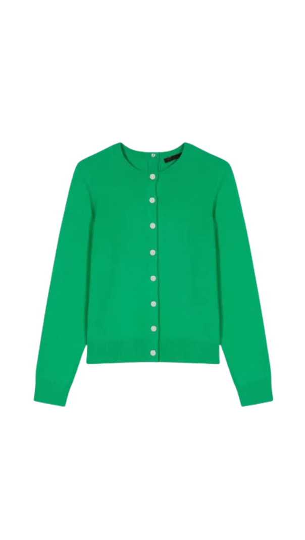 AIIZIE MIRABO CARDIGAN IN GREEN - product image