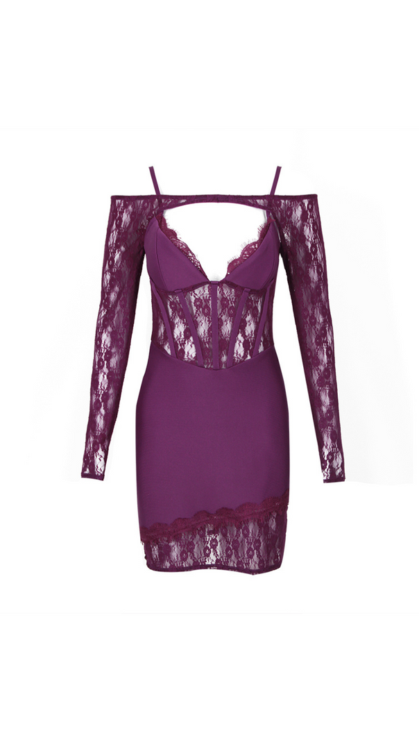 AIIZIE PURPLE LACE AND CREPE MINI DRESS - product image