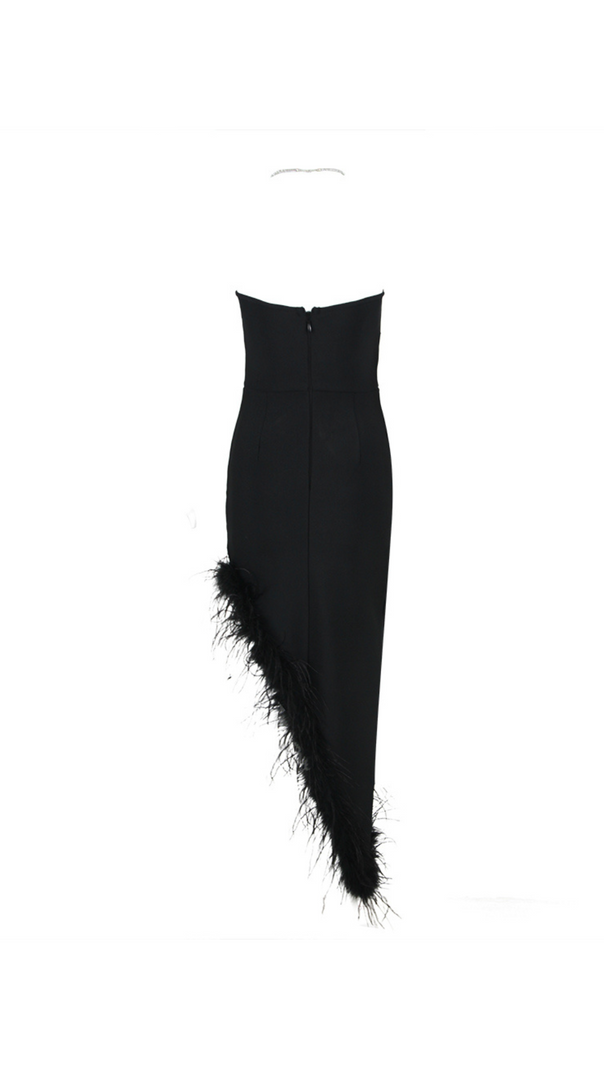 AIIZIE HALTER CRYSTAL FEATHER MAXI DRESS IN BLACK - product image