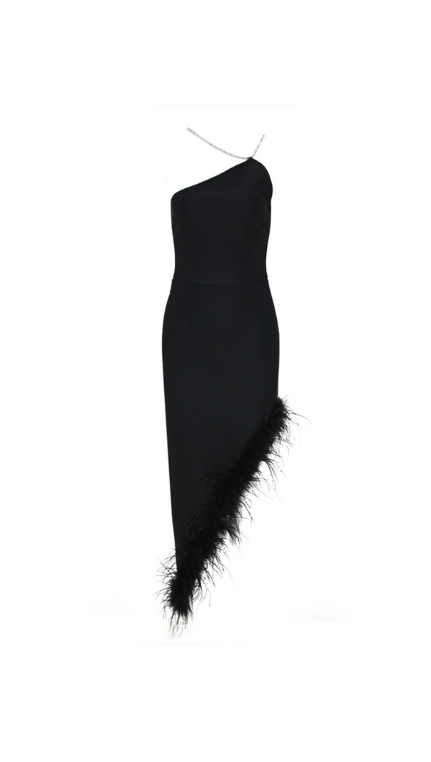 AIIZIE HALTER CRYSTAL FEATHER MAXI DRESS IN BLACK - product image