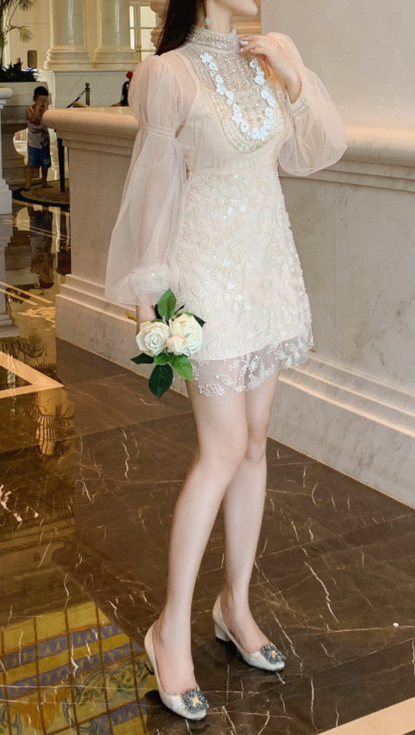 AIIZIE APRICOT MESH LANTERN SLEEVE BEADING DRESS - product image