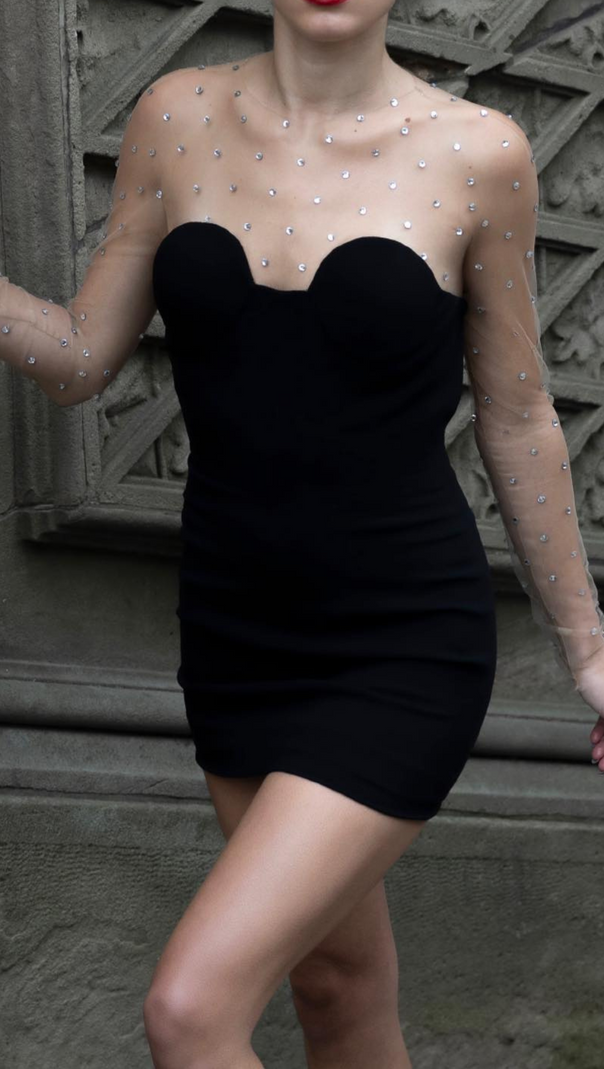 AIIZIE LONG SLEEVE CRYSTAL MESH DRESS BLACK - product image
