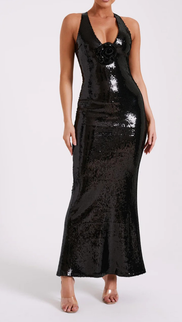AIIZIE ROSE SEQUIN MAXI DRESS IN BLACK - product image