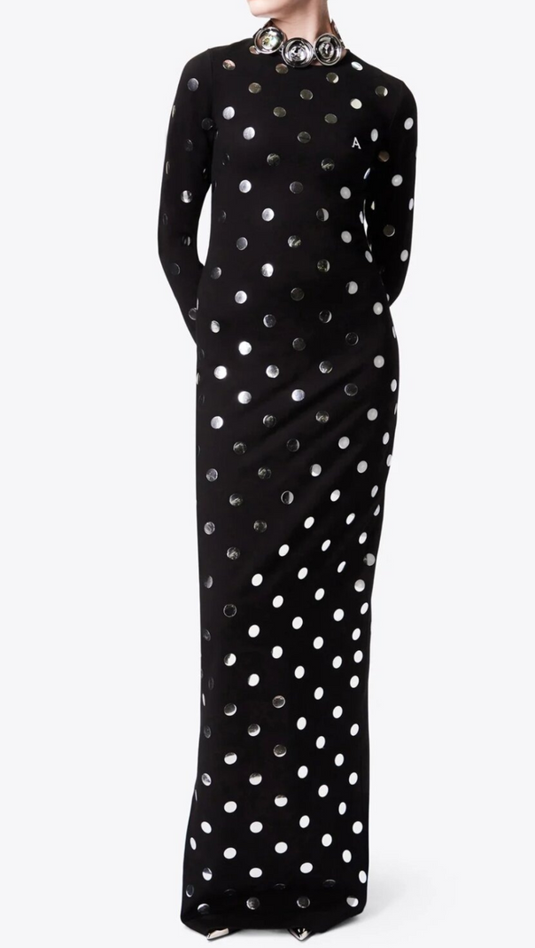 AIIZIE POLKA DOT LONG SLEEVE MAXI DRESS - product image