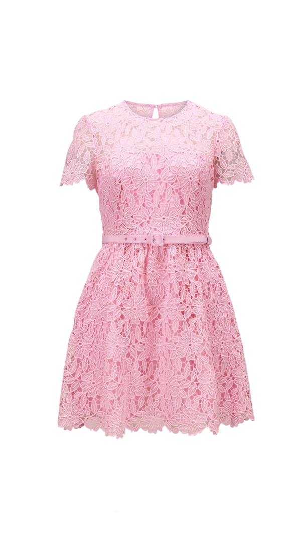 AIIZIE PINK GUIPURE ROUND NECK MINI DRESS - product image