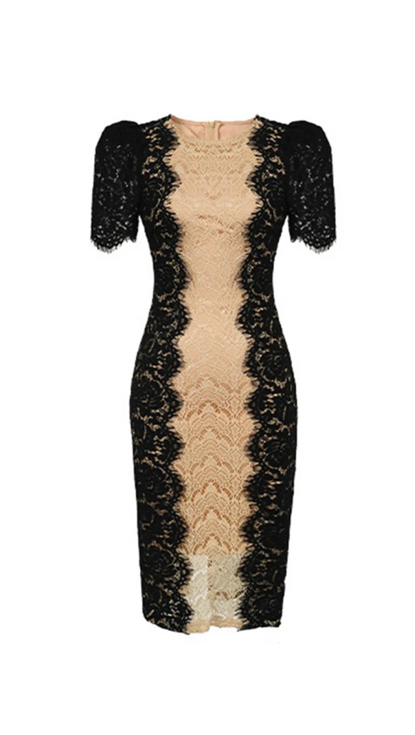 AIIZIE MIXED COLORS LACE FITTED MINI DRESS - product image