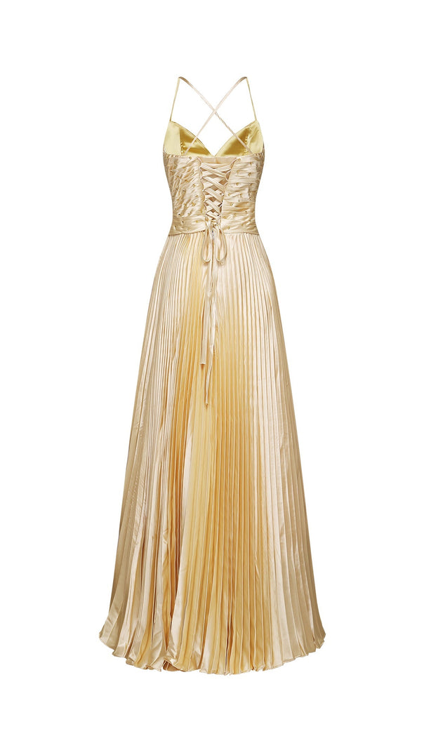 AIIZIE ELINE PLEATED MAXI DRESS - product image