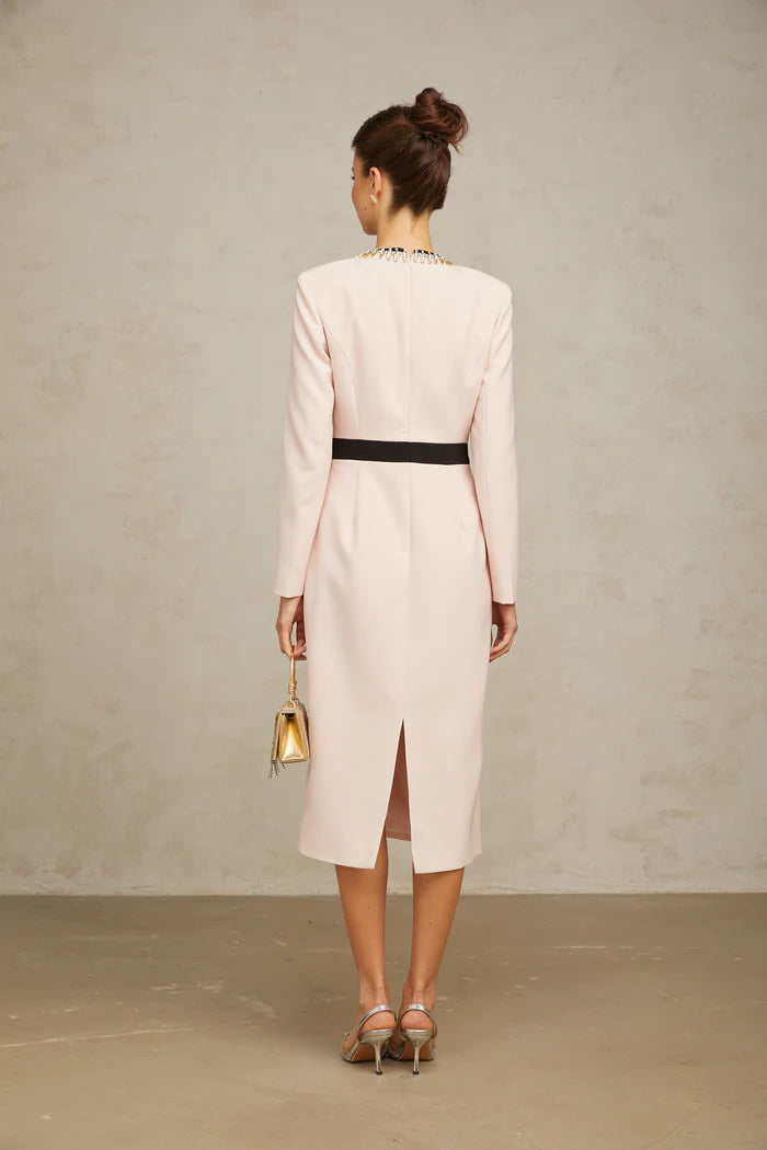 AIIZIE DIAMOND-EMBELLISHED SHEATH MAXI DRESS IN PINK - product image
