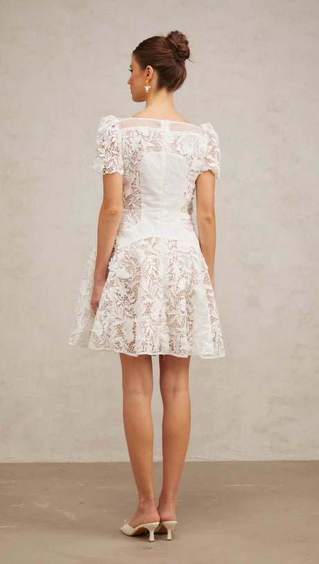 ROSE SLEEVE LACE HOLLOW MINI DRESS IN WHITE