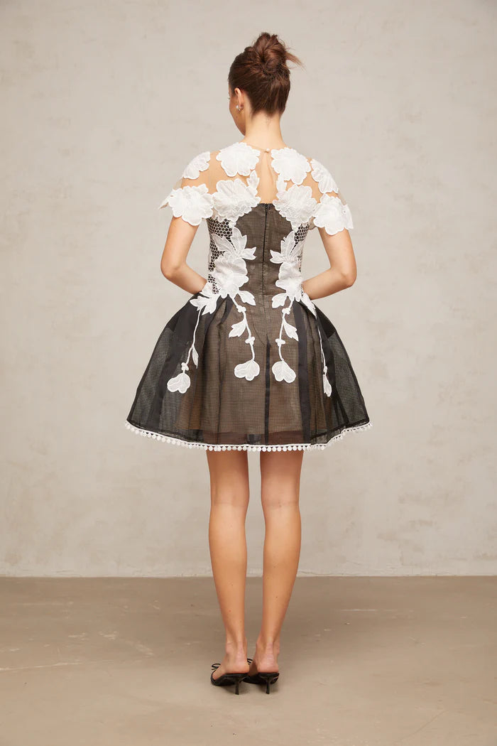 AIIZIE BLACK-WHITE LACE FLOWER EMBELLISHED MINI DRESS - product image