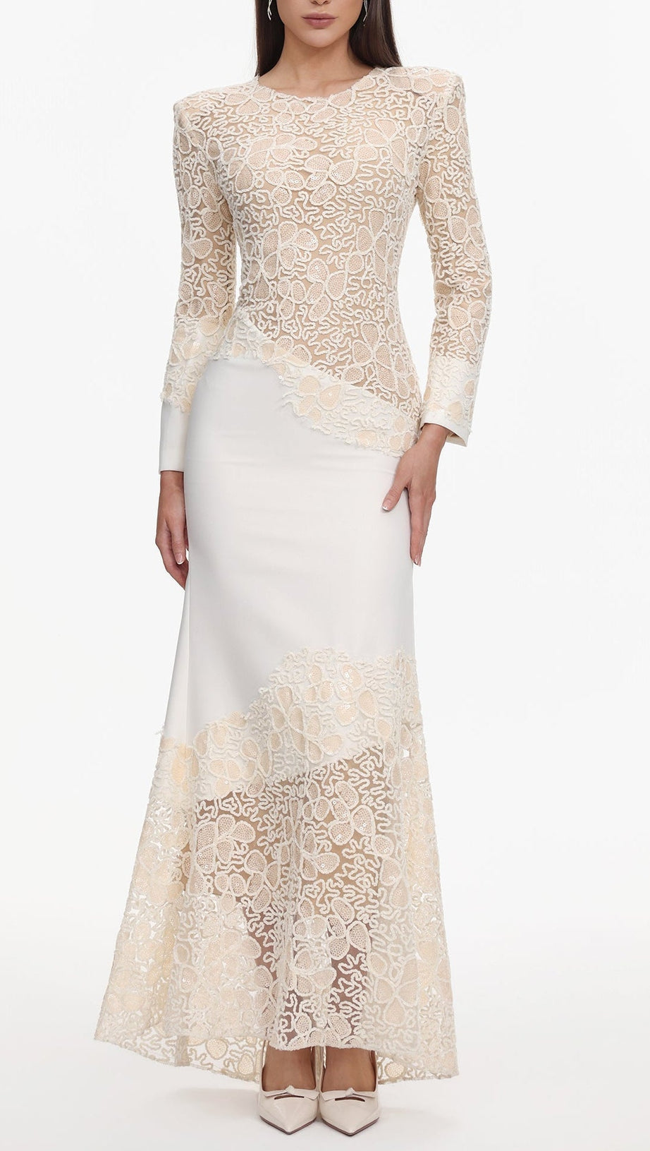 jacqueline Beige lace Embroidered long sleeve Maxi Dress