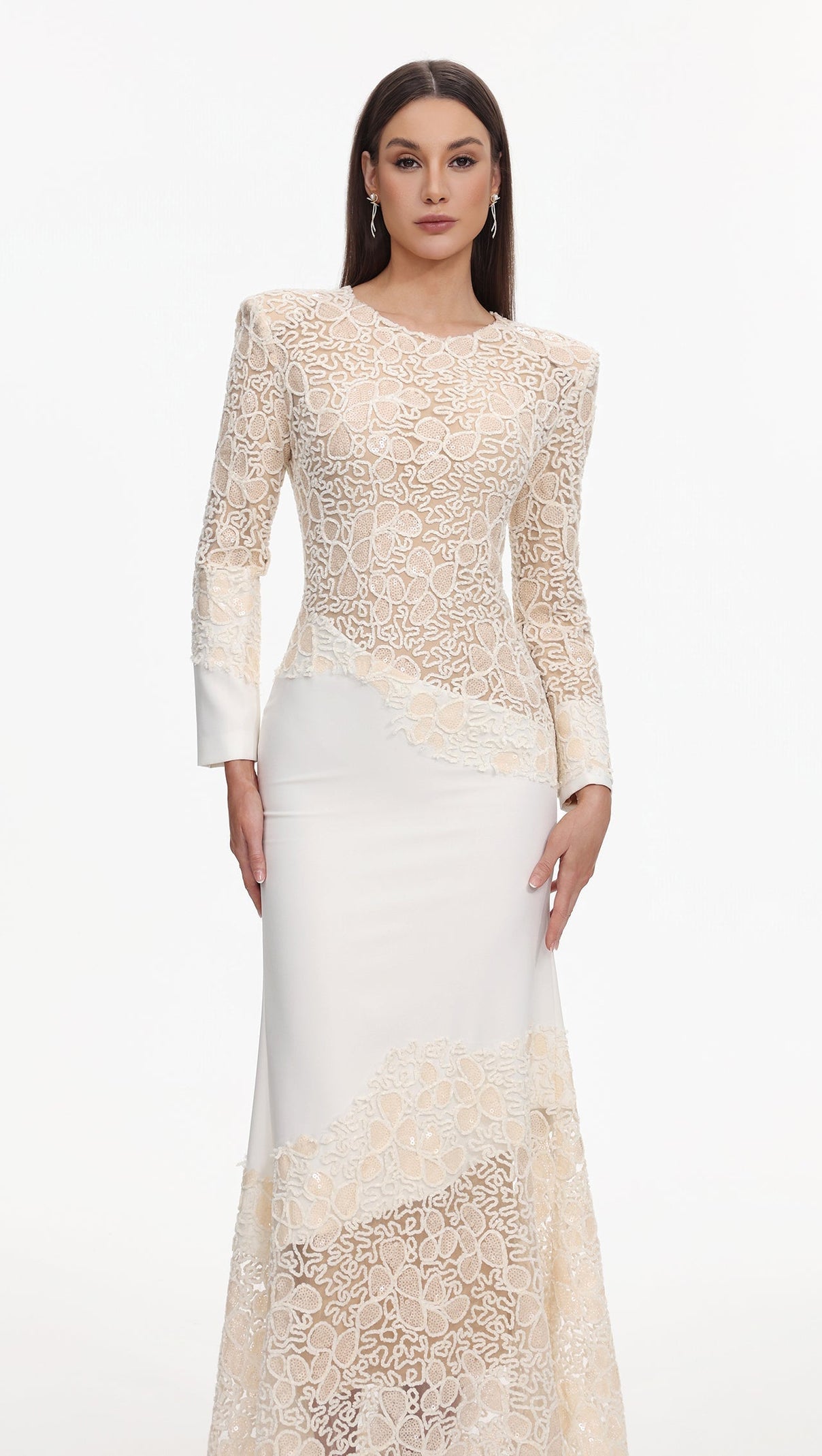 AIIZIE jacqueline Beige lace Embroidered long sleeve Maxi Dress - product image