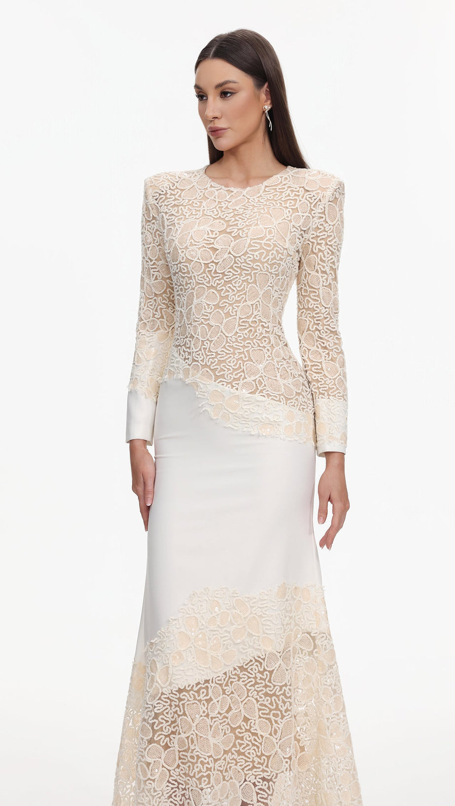 jacqueline Beige lace Embroidered long sleeve Maxi Dress