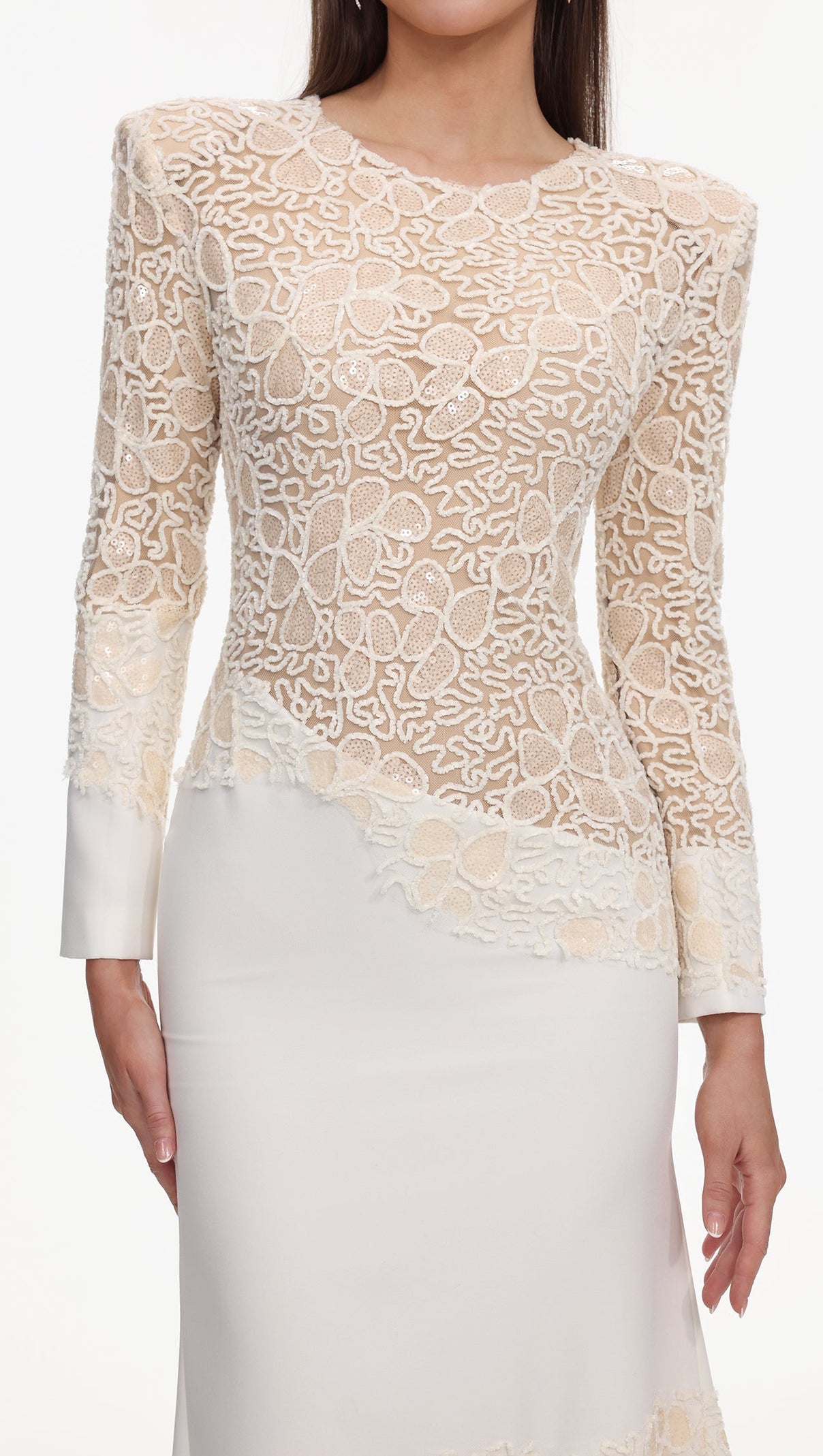 AIIZIE jacqueline Beige lace Embroidered long sleeve Maxi Dress - product image
