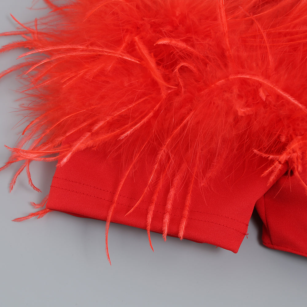 Rotes Kleid mit schulterfreiem Federeinsatz 