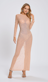 Nude Crystal Embellished Transparent Gown