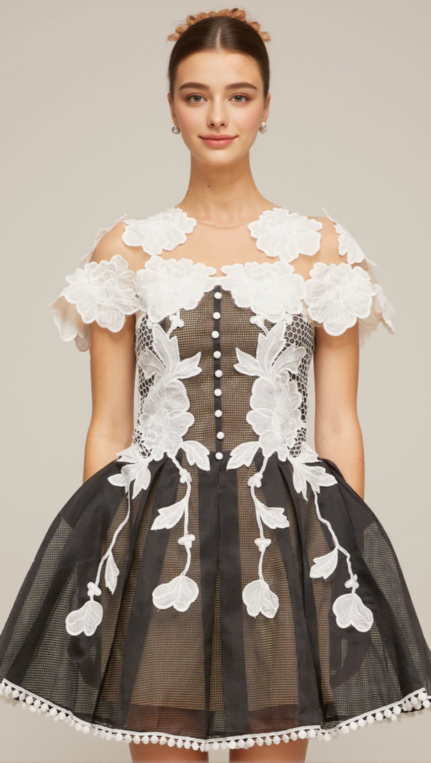 AIIZIE BLACK-WHITE LACE FLOWER EMBELLISHED MINI DRESS - product image