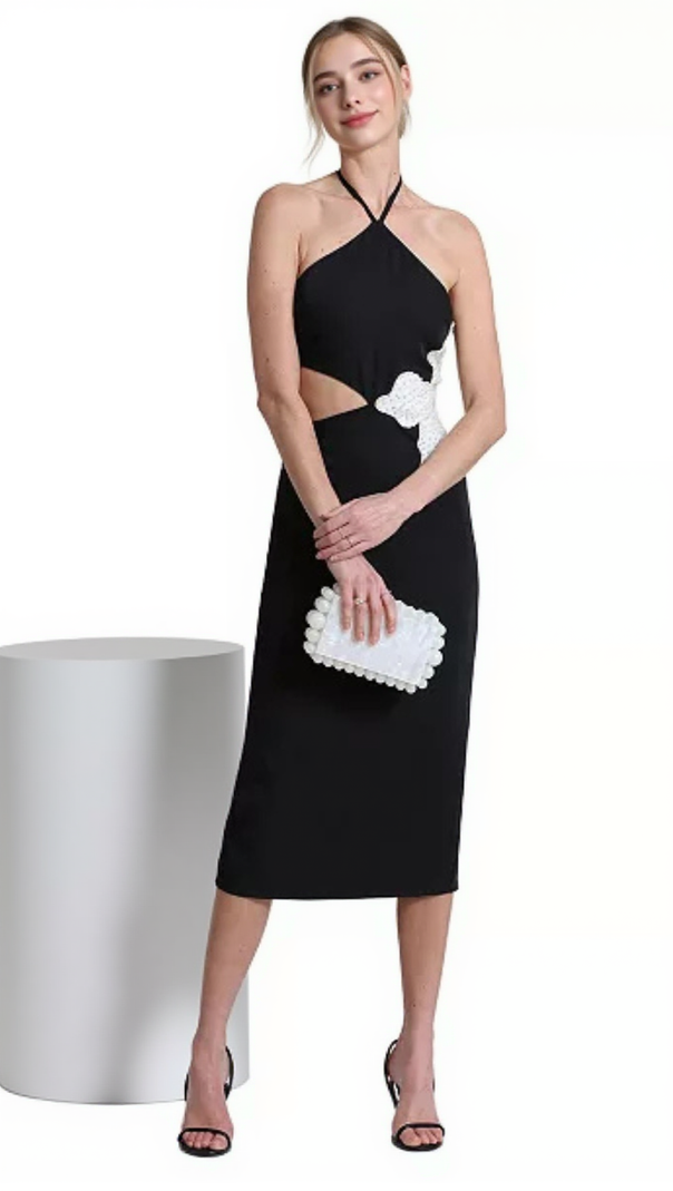 AIIZIE ATHENA FLORAL APPLIQUÉ CUTOUT HALTER MIDI DRESS IN BLACK - product image