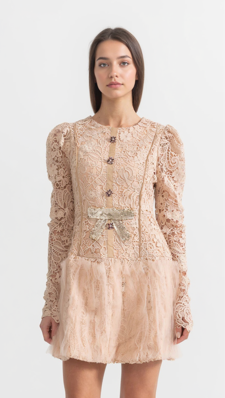 LACE EMBROIDERY MINI DRESS