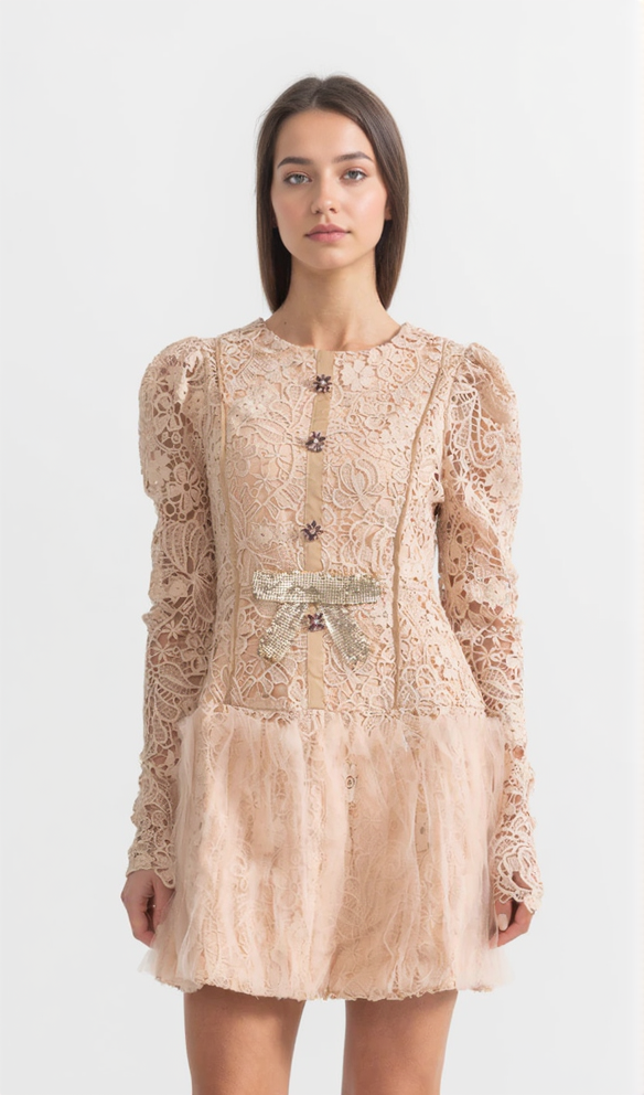 LACE EMBROIDERY MINI DRESS