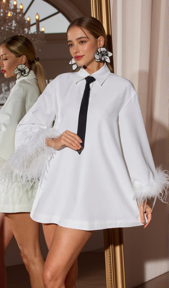 AIIZIE FINIA FEATHER-TRIMMED MINI SHIRT DRESS WITH TIE - product image