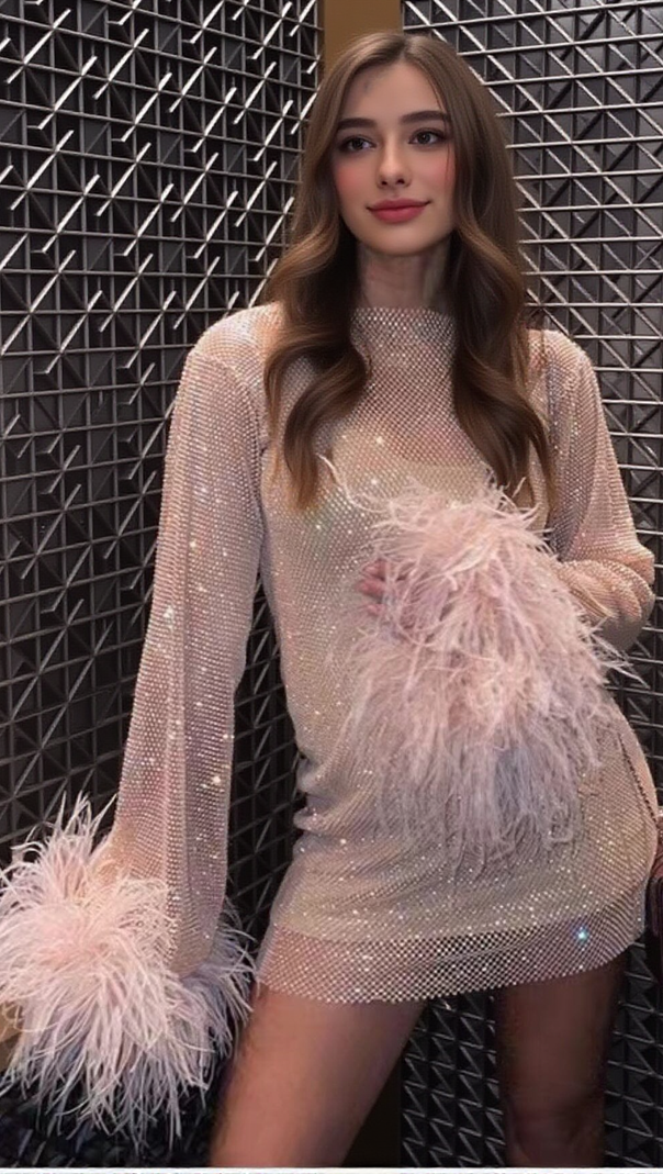 AIIZIE FEATHER EMBELLISHED MESH MINI DRESS - product image