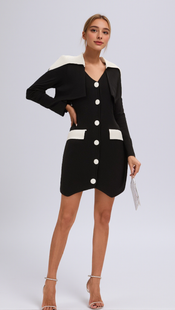 AIIZIE ENORA BLACK CONTRAST-COLOR MINI DRESS - product image