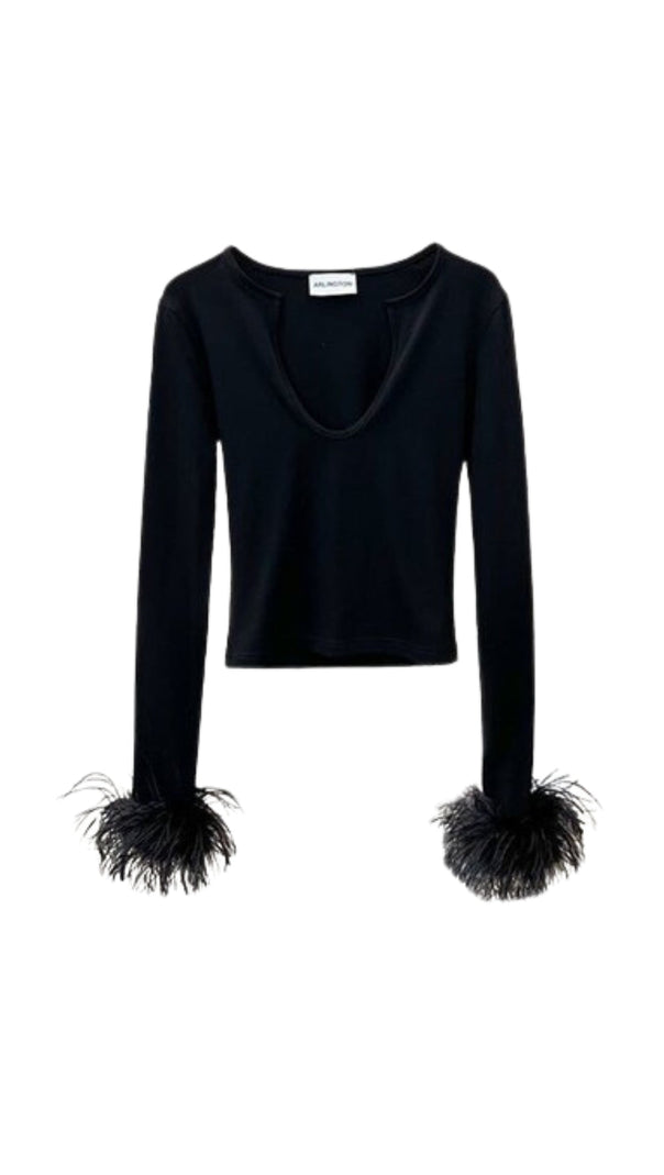 AIIZIE U NECK FEATHER TOP - product image