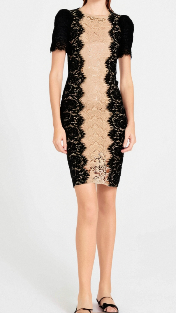 AIIZIE MIXED COLORS LACE FITTED MINI DRESS - product image