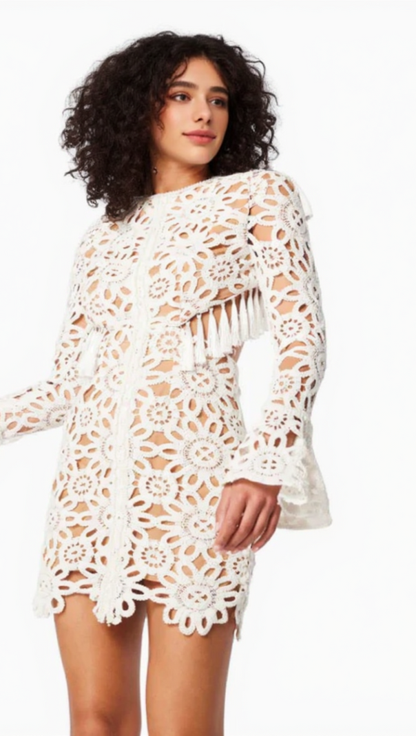 AIIZIE EMBROIDERED HOLLOW MINI DRESS IN WHITE - product image