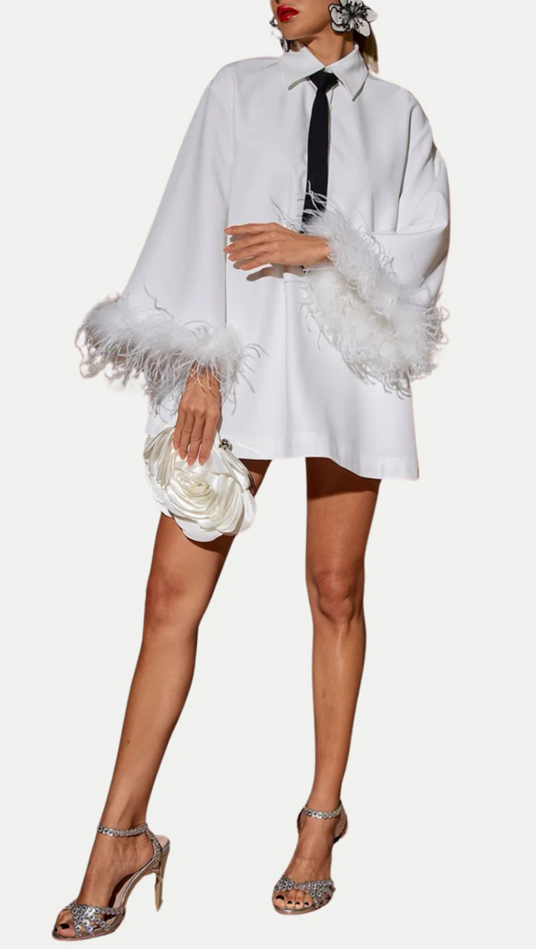 AIIZIE FINIA FEATHER-TRIMMED MINI SHIRT DRESS WITH TIE - product image