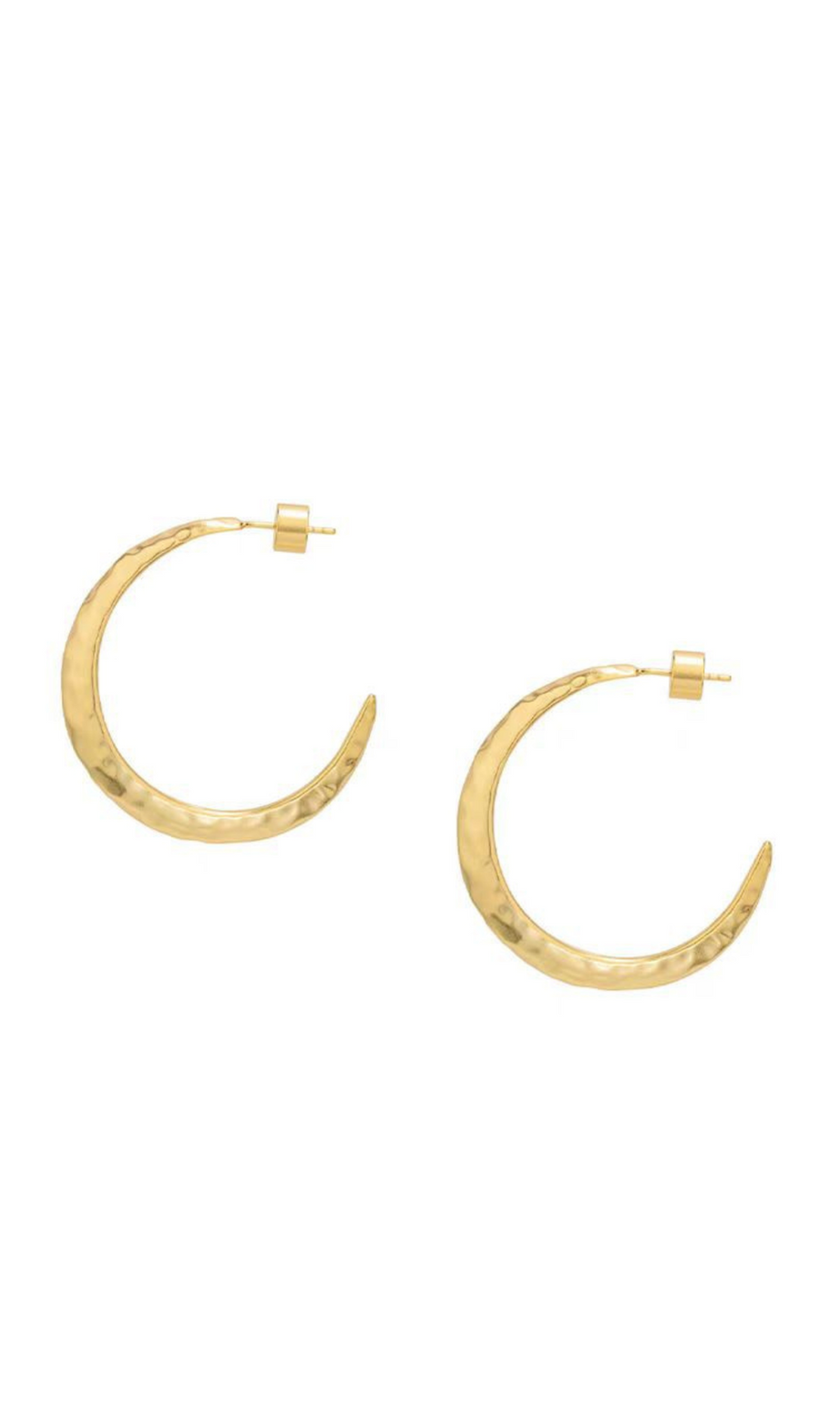 Needle Earrings in gold