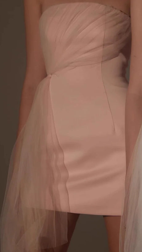 STRAPLESS MESH MINI DRESS