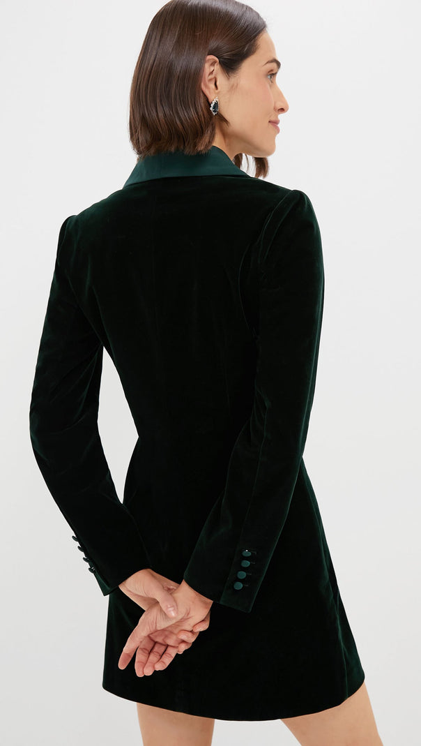 AIIZIE DARK GREEN VELVET STACIE DRESS - product image