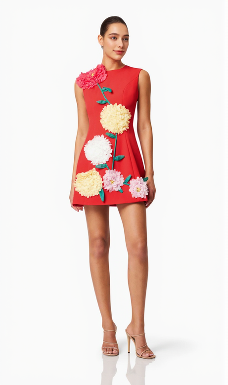 Mini abito ricamato Buttercup in rosso