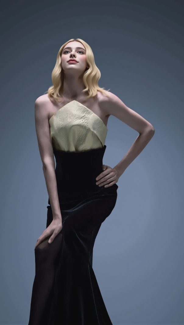 AIIZIE STRAPLESS MERMAID MAXI VELVET DRESS BLACK IVORY - product image
