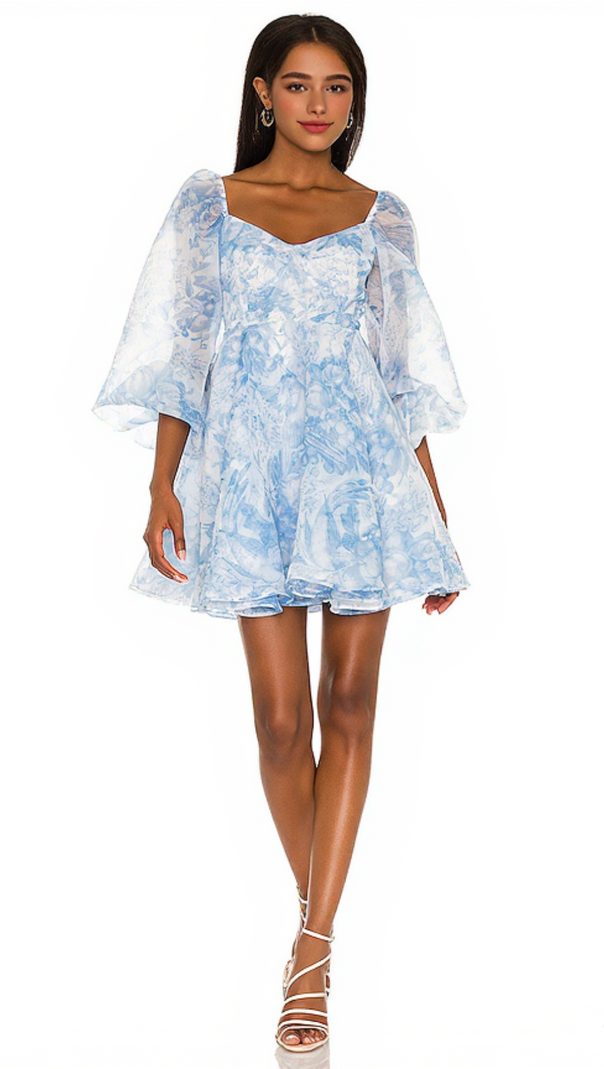 AIIZIE THE PRINCESS DRESS - product image
