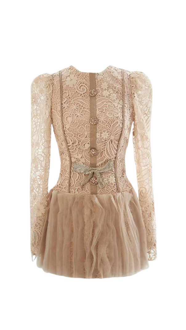 AIIZIE LACE EMBROIDERY MINI DRESS - product image