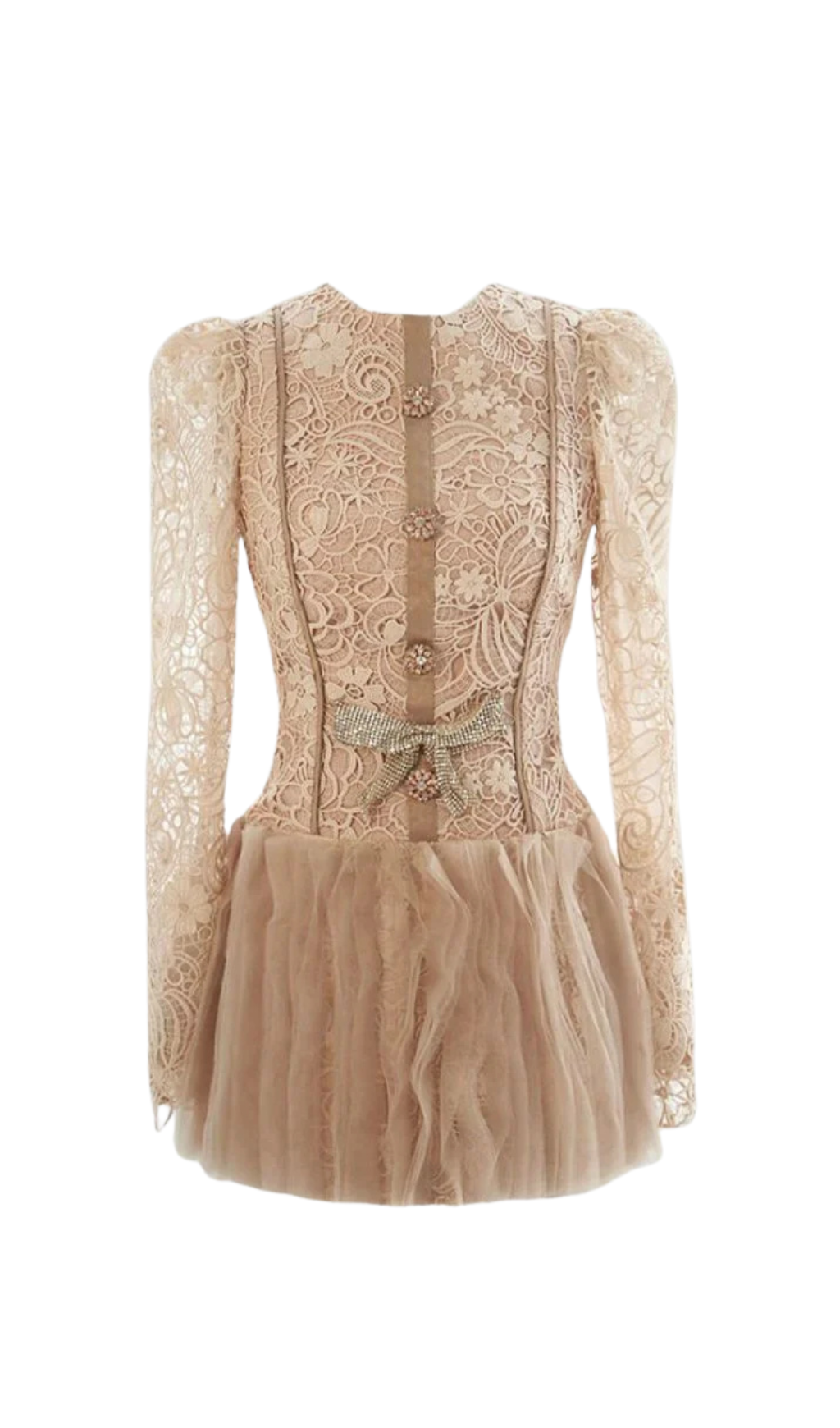 LACE EMBROIDERY MINI DRESS