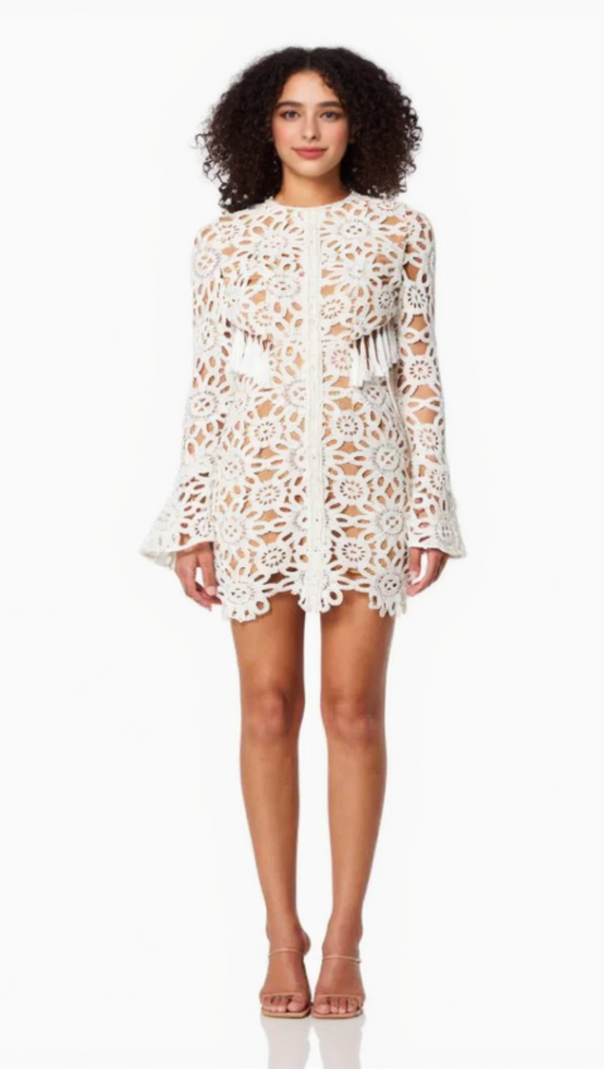 AIIZIE EMBROIDERED HOLLOW MINI DRESS IN WHITE - product image