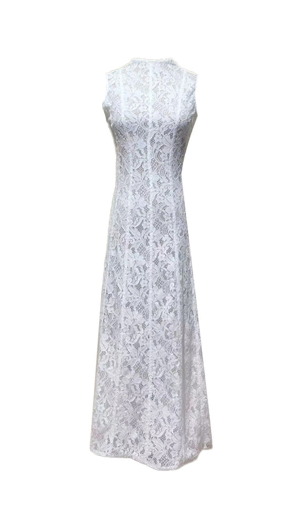 AIIZIE TINA EMBROIDERED LACE SLEEVELESS MAXI DRESS IN WHITE - product image