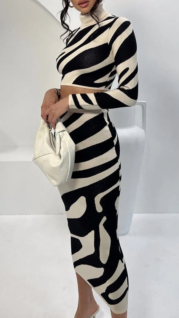 AIIZIE LENA ZEBRA PRINT KNIT SET - product image