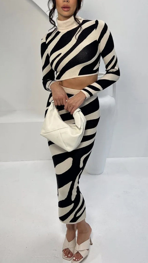AIIZIE LENA ZEBRA PRINT KNIT SET - product image