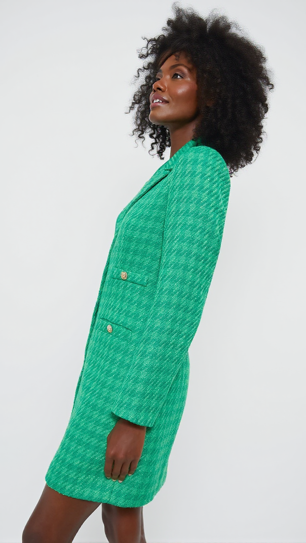 AIIZIE EMERALD TWEED STACIE DRESS - product image