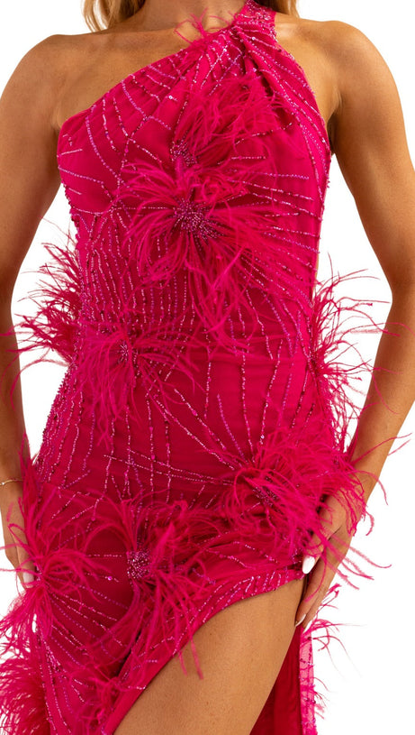 ONE-SHOULDER FEATHER EMBELLISHMENTS MAXI DRESS