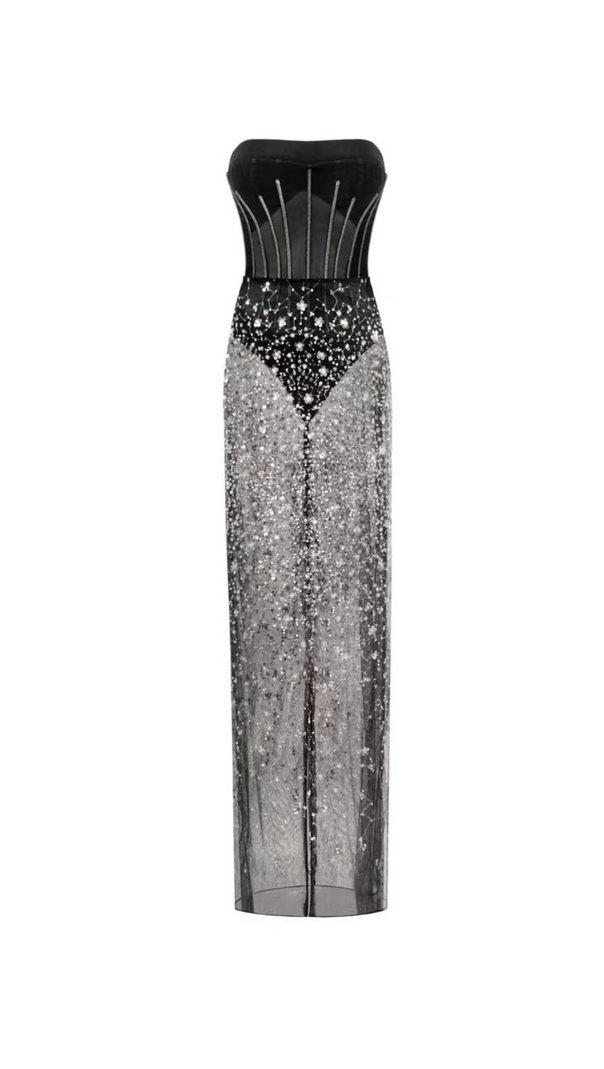 AIIZIE HAZEL CRYSTAL-COVERED STRAPLESS BLACK MAXI DRESS - product image