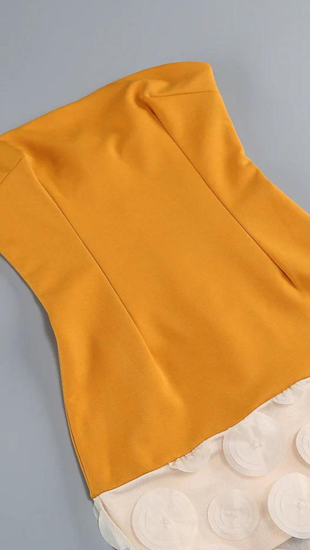 AIIZIE NODIN STRAPLESS DOT MESH MAXI DRESS IN ORANGE - product image