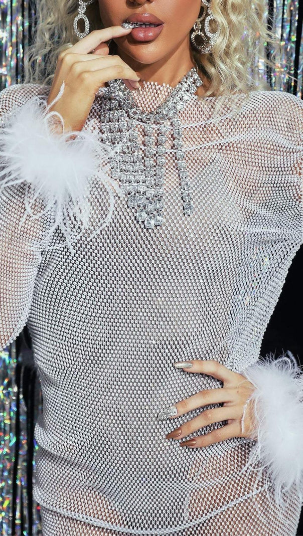 FEATHER EMBELLISHED MESH MINI DRESS